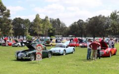 Photo Gallery & Wrap-Up: MGCC Sydney’s 2024 Concours & Display Day